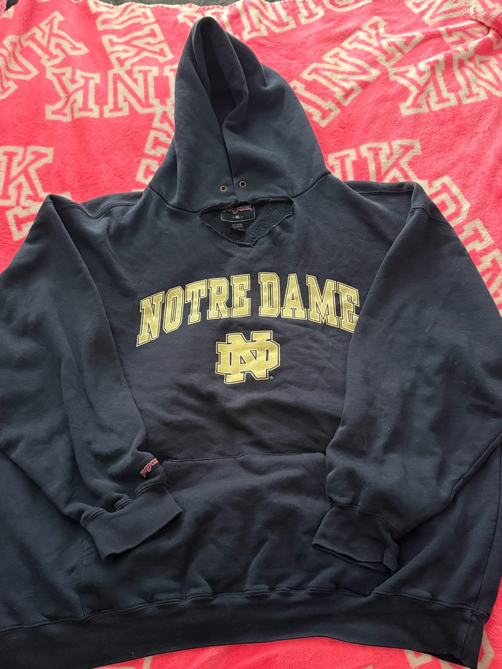 Jansport notre dame hooded Sweatshirt